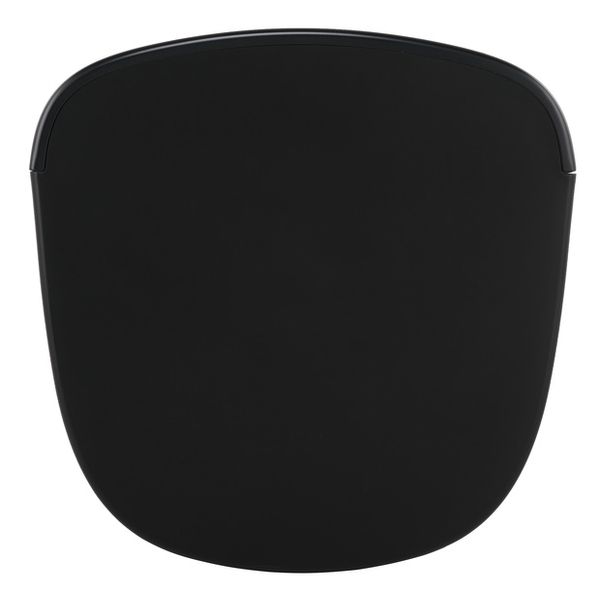 Bose Professional DesignMax DM12SE black