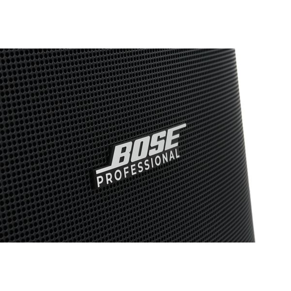Bose Professional DesignMax DM12SE black