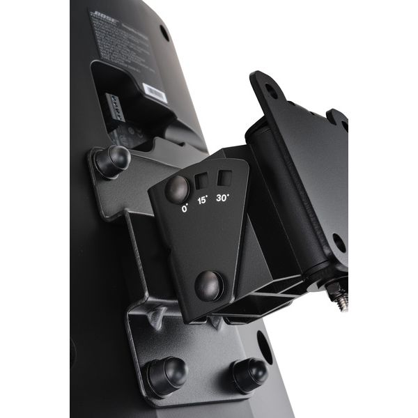 Bose Professional DesignMax DM12SE black