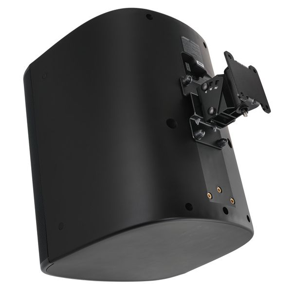 Bose Professional DesignMax DM12SE black