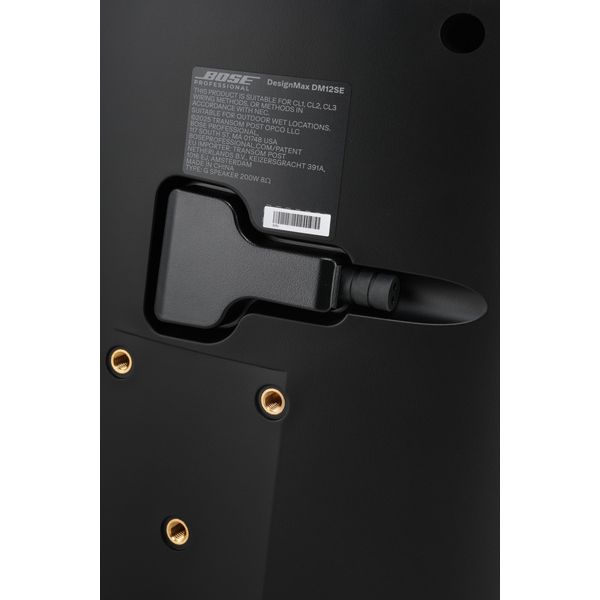 Bose Professional DesignMax DM12SE black