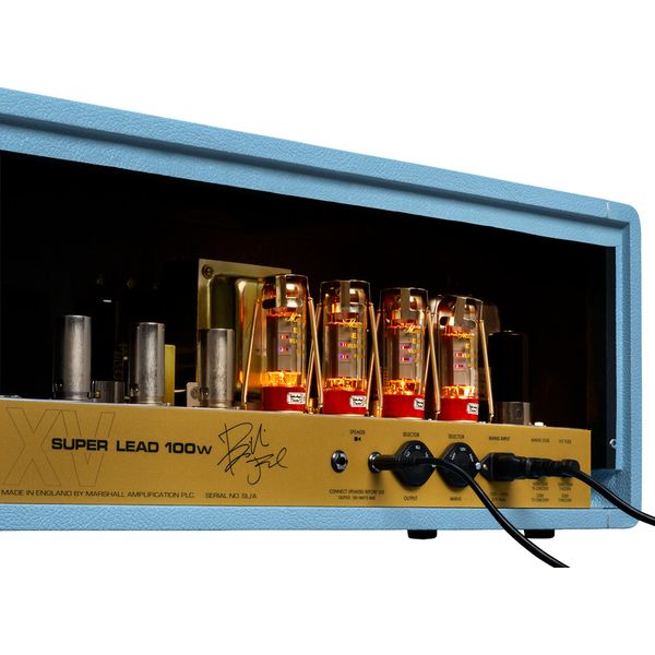 Marshall 1959BJA Billie Joe Armstrong