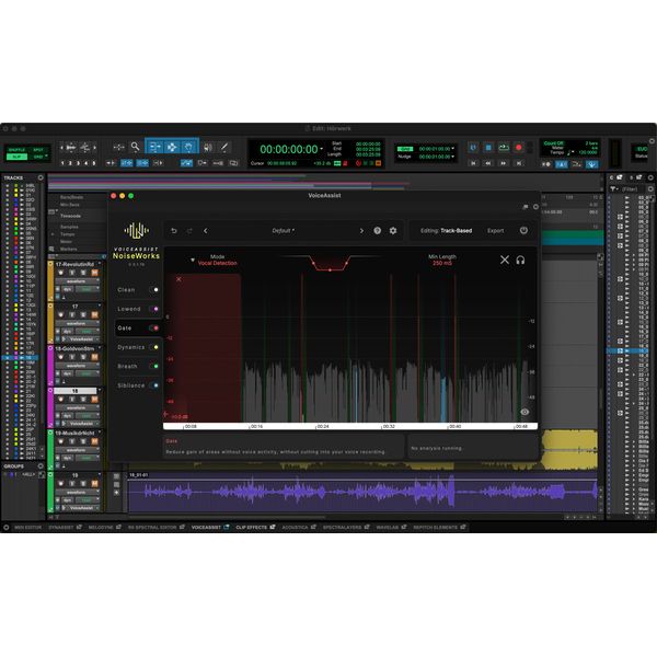 NoiseWorks VoiceAssist Advanced