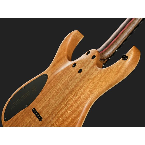 Mayones Guitars Duvell Elite 6 LBS