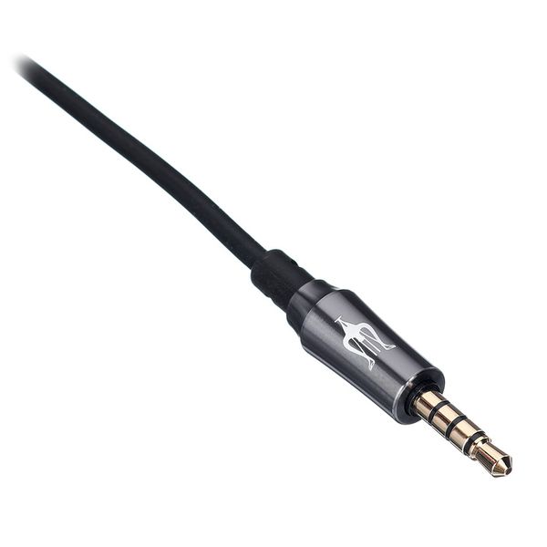 Meze Audio Boom Mic
