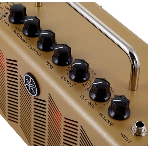 Yamaha THR5A  Bundle