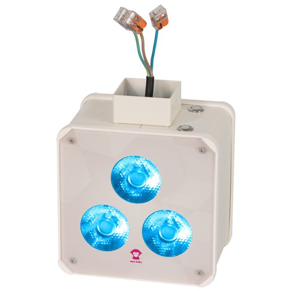 Ape Labs Double Wall 15° Creme Bundle