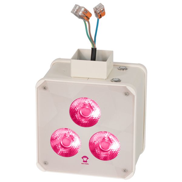 Ape Labs Double Wall 15° Creme Bundle
