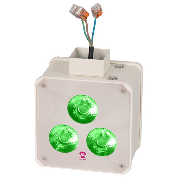 Ape Labs Double Wall 15° Creme Bundle