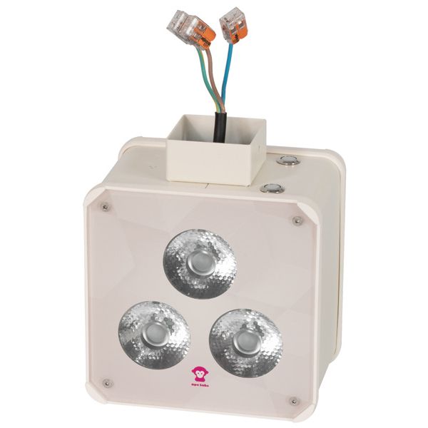 Ape Labs Double Wall 15° Creme Bundle