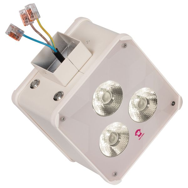 Ape Labs Double Wall 15° Creme Bundle