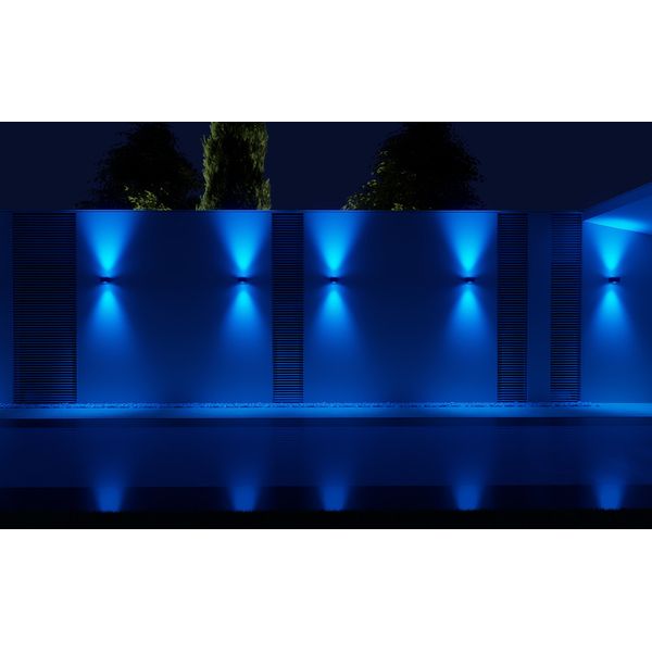 Ape Labs Double Wall 15° Creme Bundle