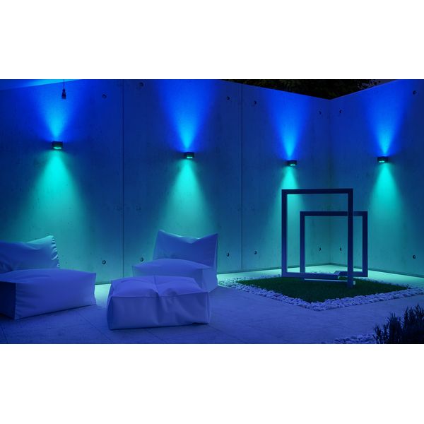 Ape Labs Double Wall 15° Creme Bundle