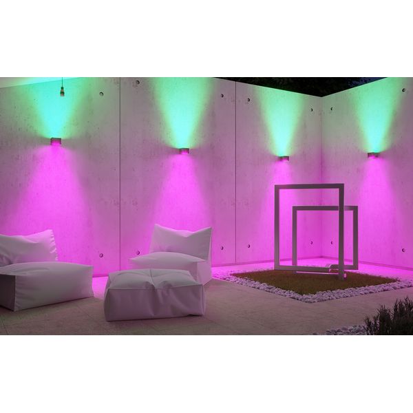 Ape Labs Double Wall 45° Creme Bundle
