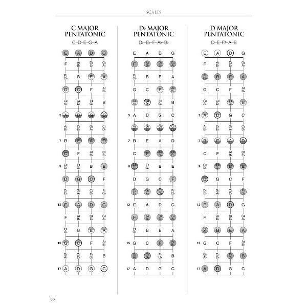 Hal Leonard Bass Fretboard Atlas