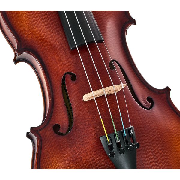 Roth & Junius Europe Lion`s Head Violin Gu/E