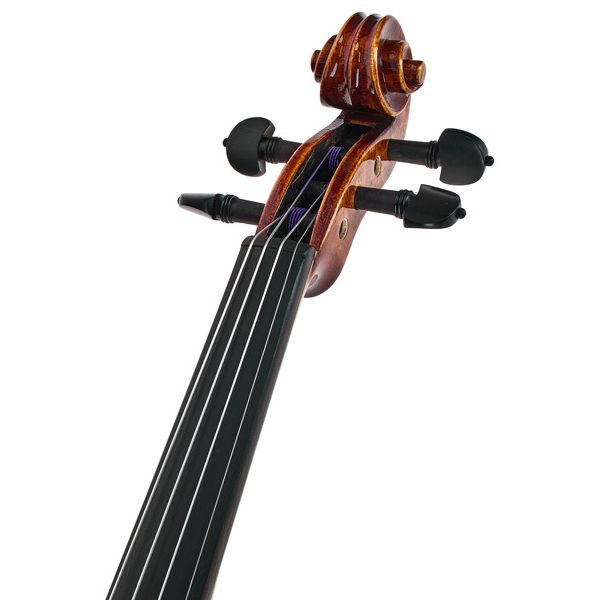 Roth & Junius Bird`s Eye Maple Violin Gu/E