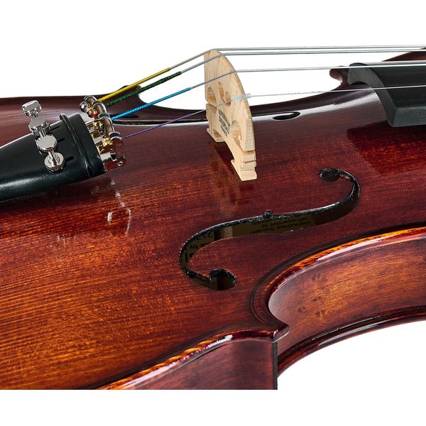 Roth & Junius Bird`s Eye Maple Violin St/E