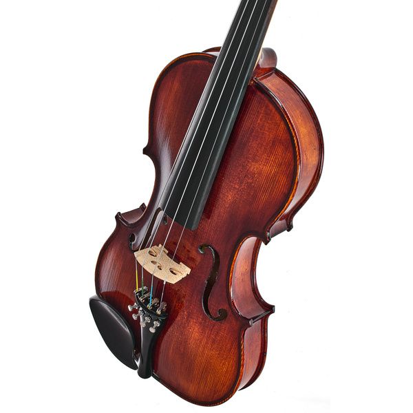 Roth & Junius Bird`s Eye Maple Violin St/E