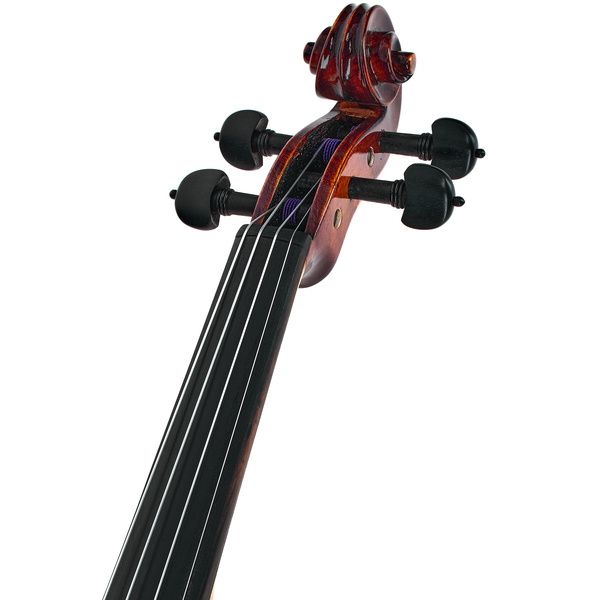 Roth & Junius Bird`s Eye Maple Violin St/E