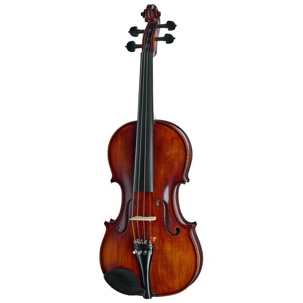 Roth & Junius Bird`s Eye Maple Violin St/E