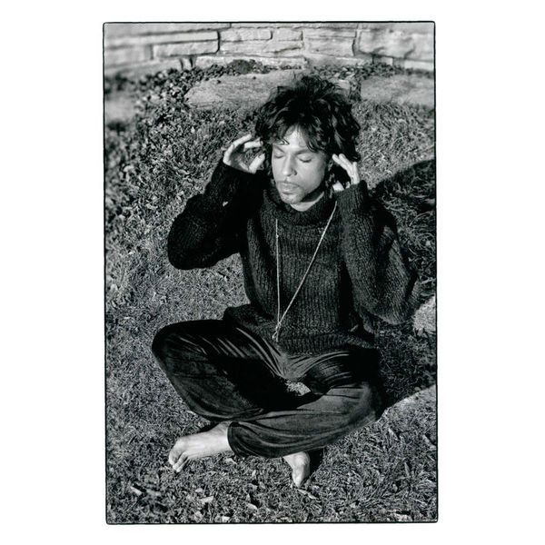 Octopus Publishing Group Picturing Prince