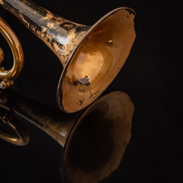 Taylor Trumpets Nemesis Bb-Trumpet