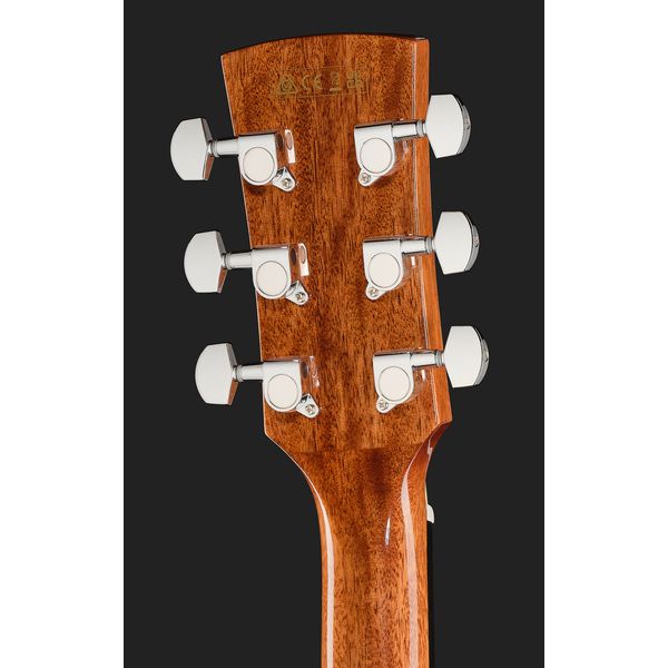 Ibanez PC34CE-NT