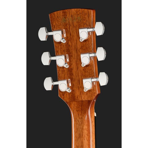 Ibanez PF34MHE-NT