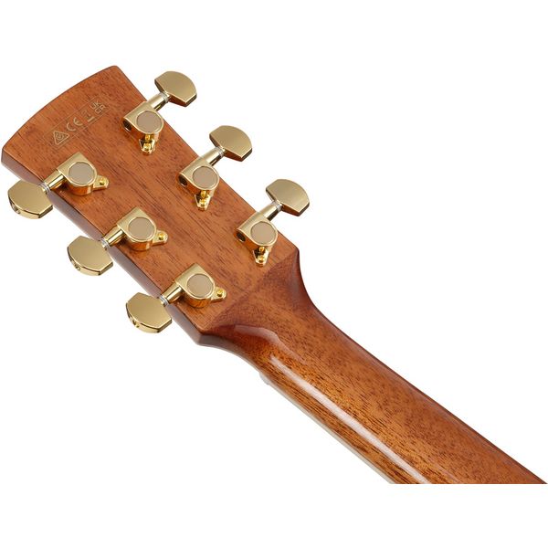 Ibanez AC391RCE-BKH