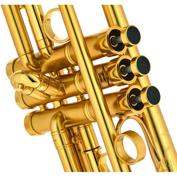 InstruVents Brass Gaia Bb-Trumpet
