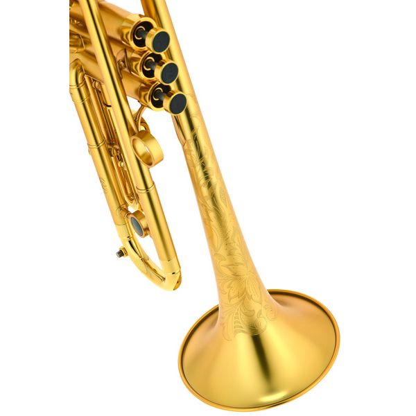InstruVents Brass Gaia Bb-Trumpet