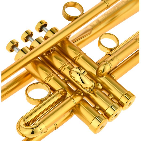 InstruVents Brass Gaia Bb-Trumpet