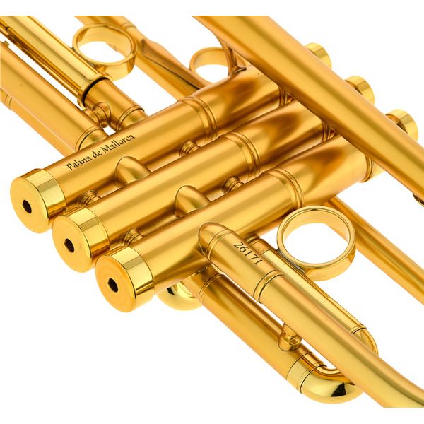 InstruVents Brass Gaia Bb-Trumpet
