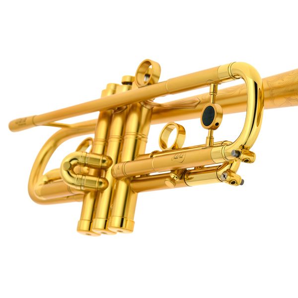 InstruVents Brass Gaia Bb-Trumpet
