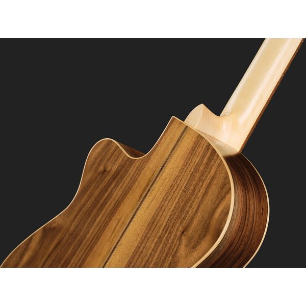 Carvalho Root CG S CE