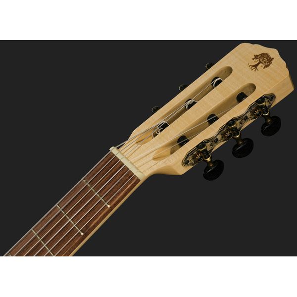 Carvalho Root CG S CE