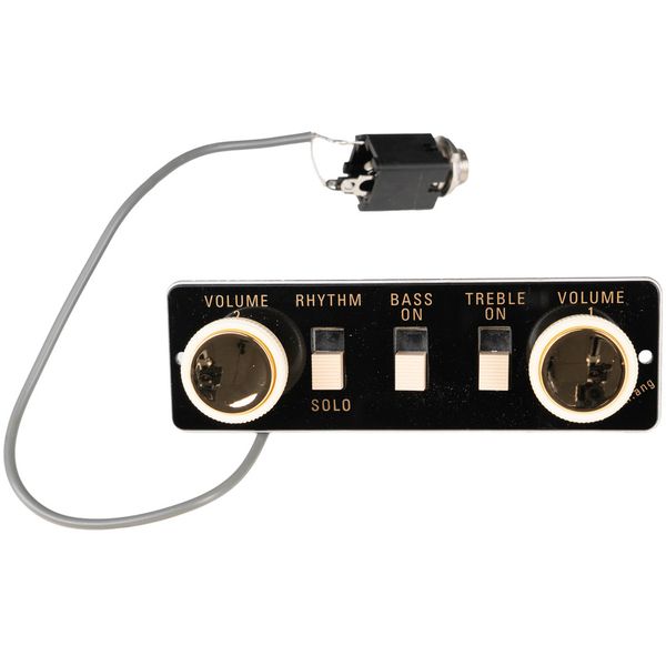 Höfner Switchpanel HA2B-BC