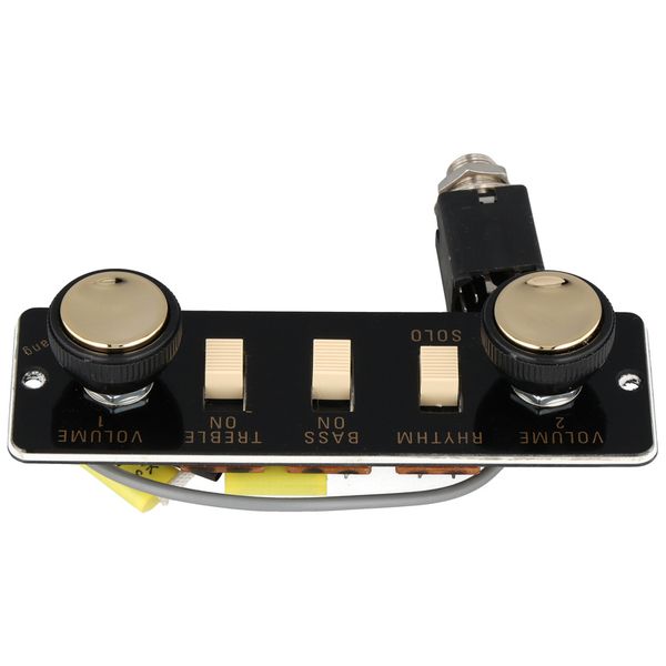 Höfner Switchpanel HA2B-BC
