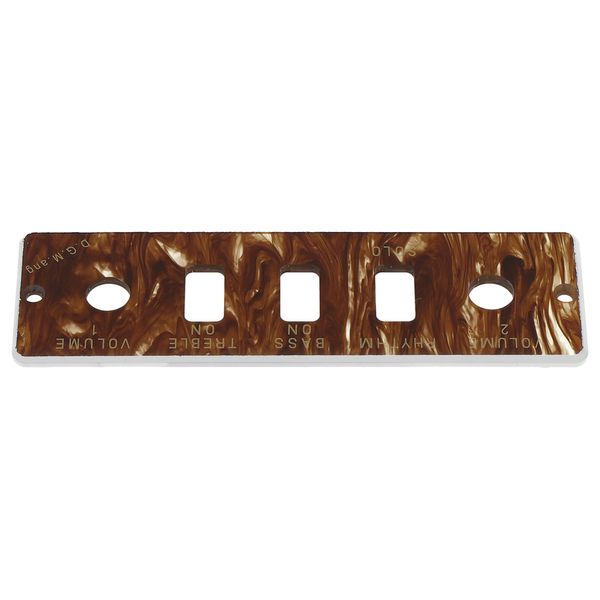 Höfner HA2B-T Tortoloid panel only
