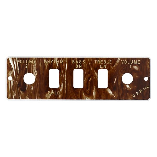 Höfner HA2B-T Tortoloid panel only