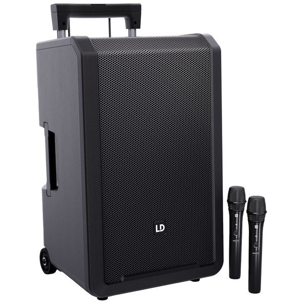 LD Systems ANNY 12 HHD 2 B5