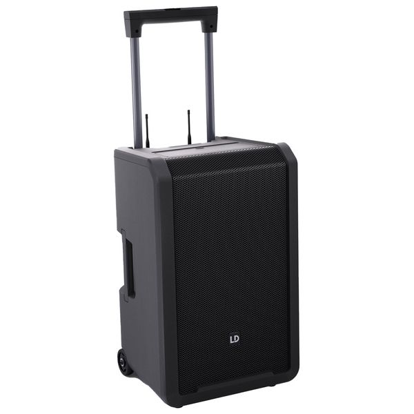 LD Systems ANNY 12 HHD 2 B5
