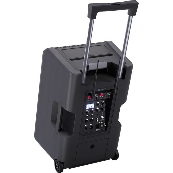 LD Systems ANNY 12 HHD 2 B5