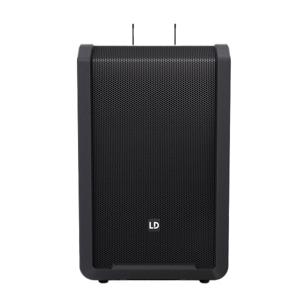 LD Systems ANNY 12 HBH 2 B8