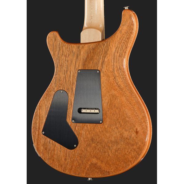 PRS Custom 24 Floyd 10 Top Eriza V