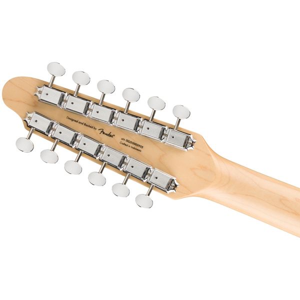 Squier Paranormal Troy V Leeuwen Tele