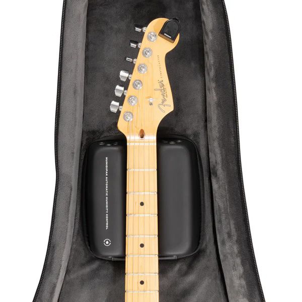 Daddario PW-BLEGC-01 E-Guitar Case