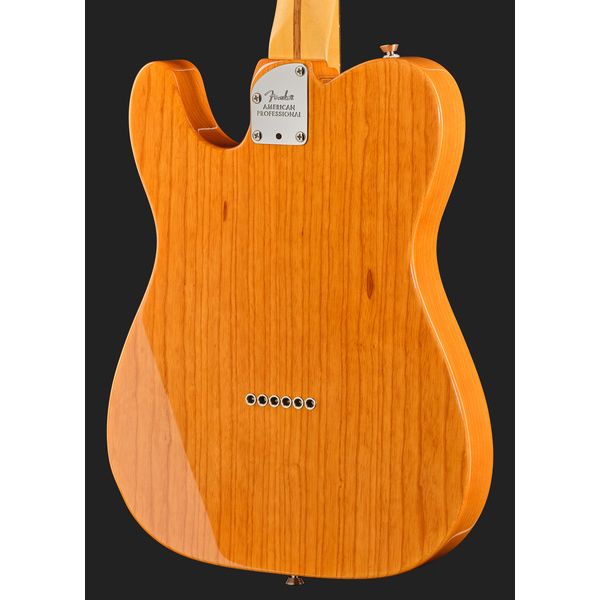 Fender Am Pro Tele RW NAT