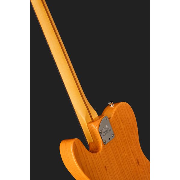 Fender Am Pro Tele RW NAT